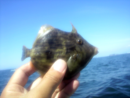 今年最初のボート釣り