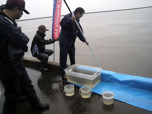 ラブメイタ稚魚放流