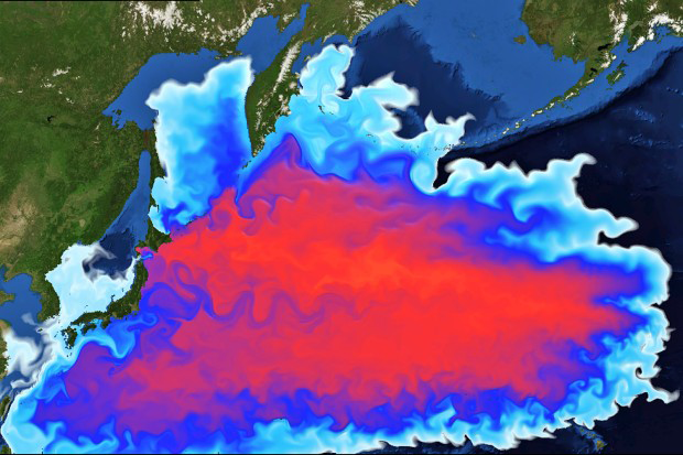 放射性物質の流れ