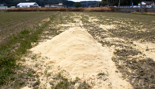 竹の粉が撒かれた田んぼ