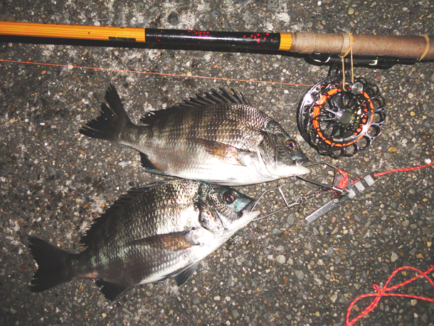 素晴らしすぎる初釣果！