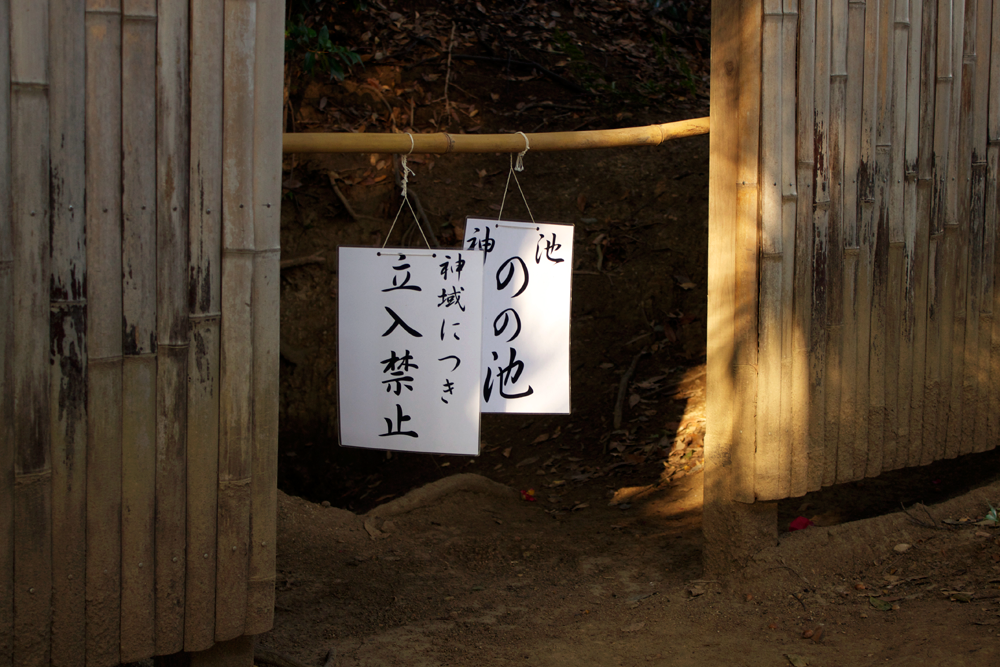 師岡熊野神社：のの池