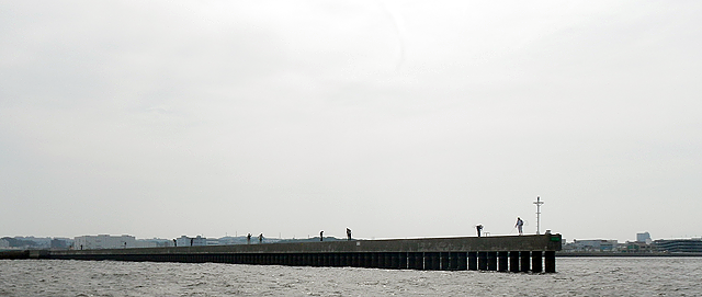 2014年最初の鳥浜