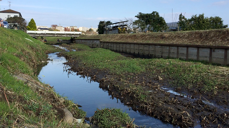 手賀沼周辺タナゴ釣場