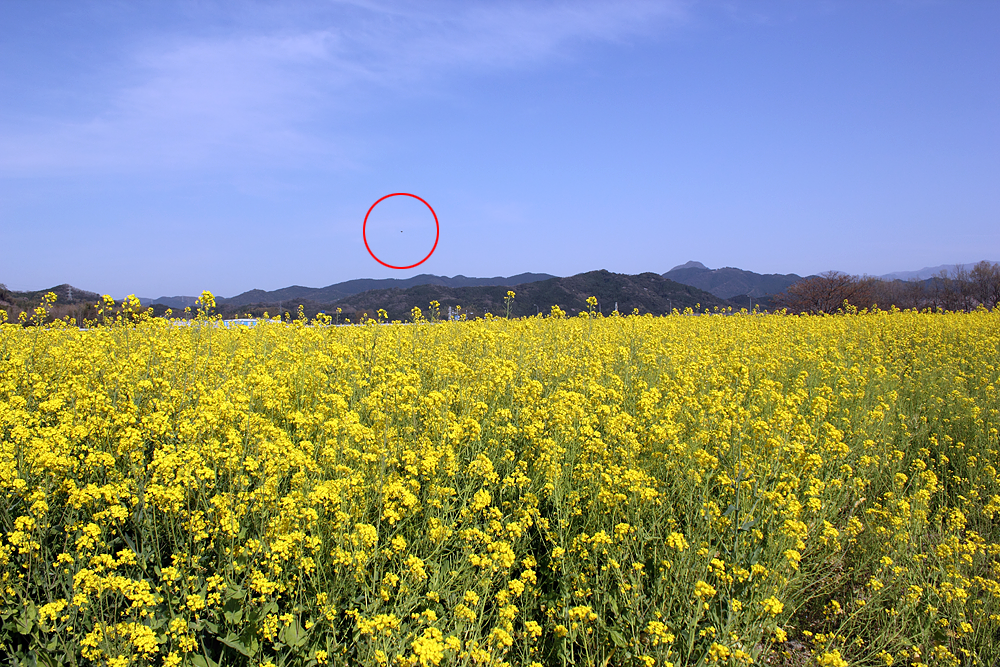 熊本県甲佐町から