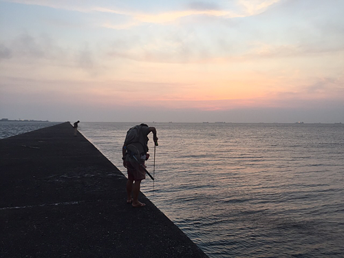 夕景に映えるタロの釣り姿