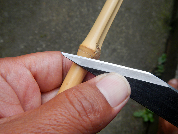 独りごと | 短竿釣り師の独り言 | 黒鯛 | ヘチ釣り | 落とし込み38