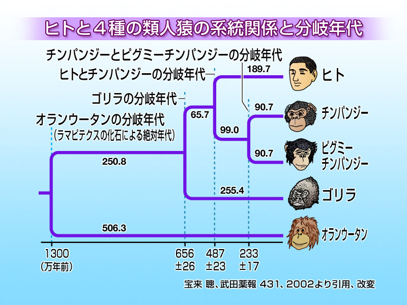 世界中の人々の母系のルーツを探ると”15万年くらい前”にいたアフリカの女性にたどり着く