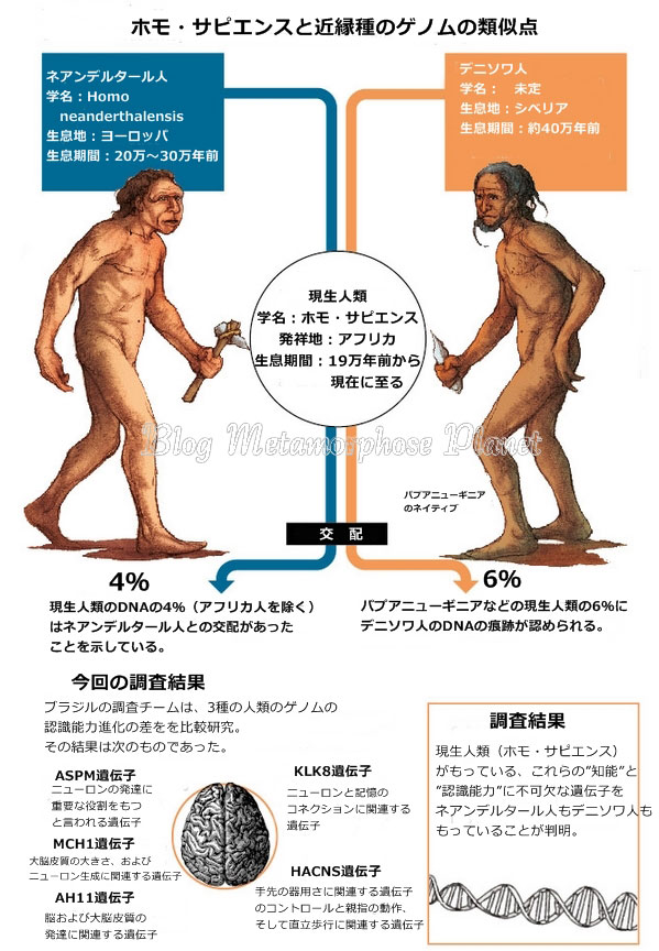 世界中の人々の母系のルーツを探ると”15万年くらい前”にいたアフリカの女性にたどり着く