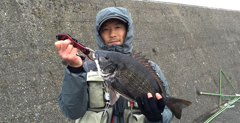 春爛漫！ヘチ釣り懇親会。