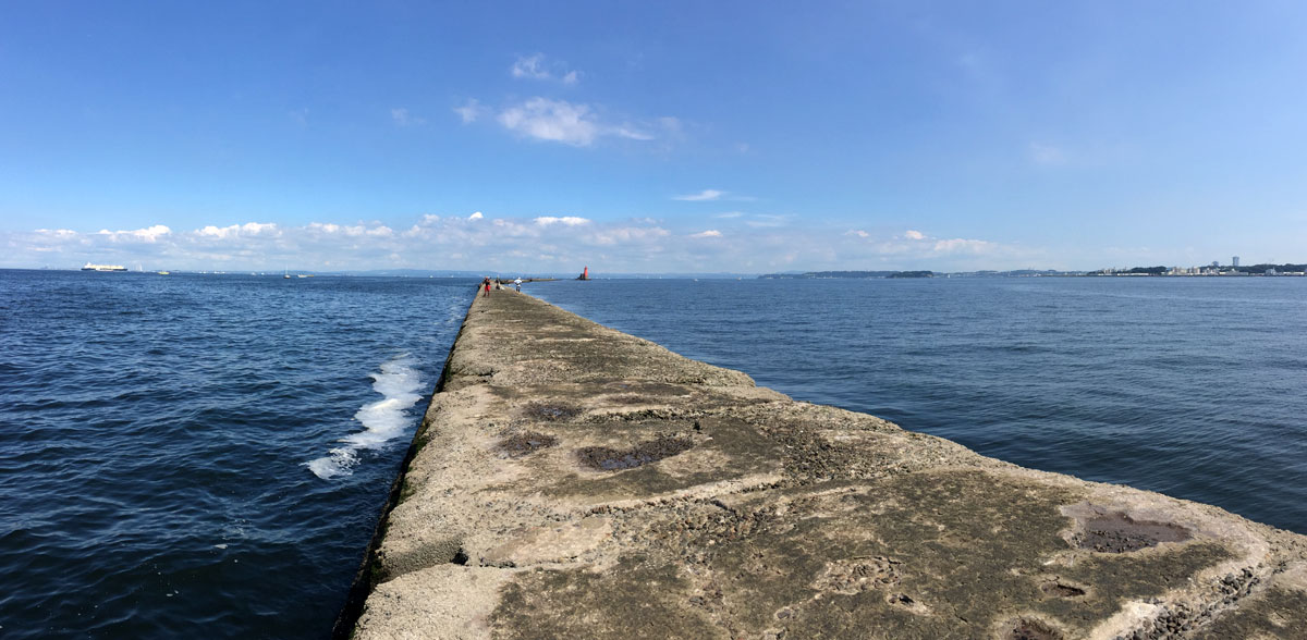 野島杯の週末