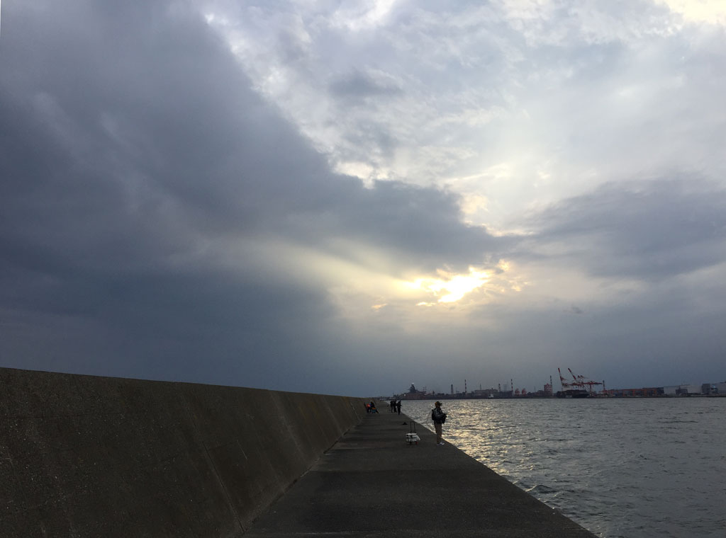 霜降のヘチ釣り
