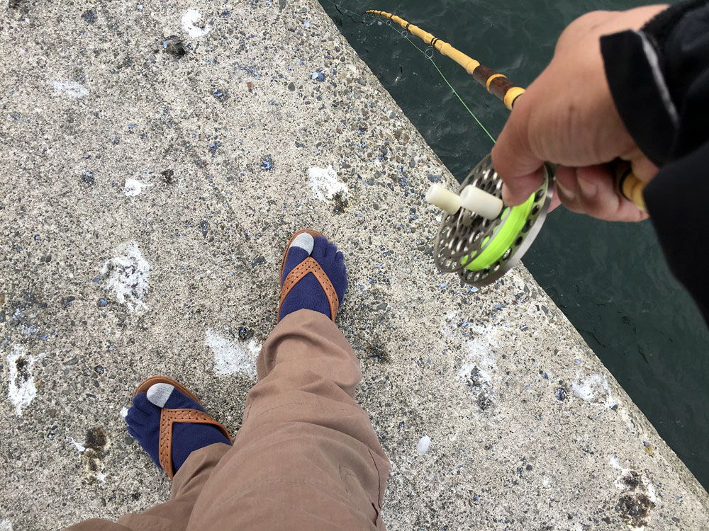 遅すぎる初釣行