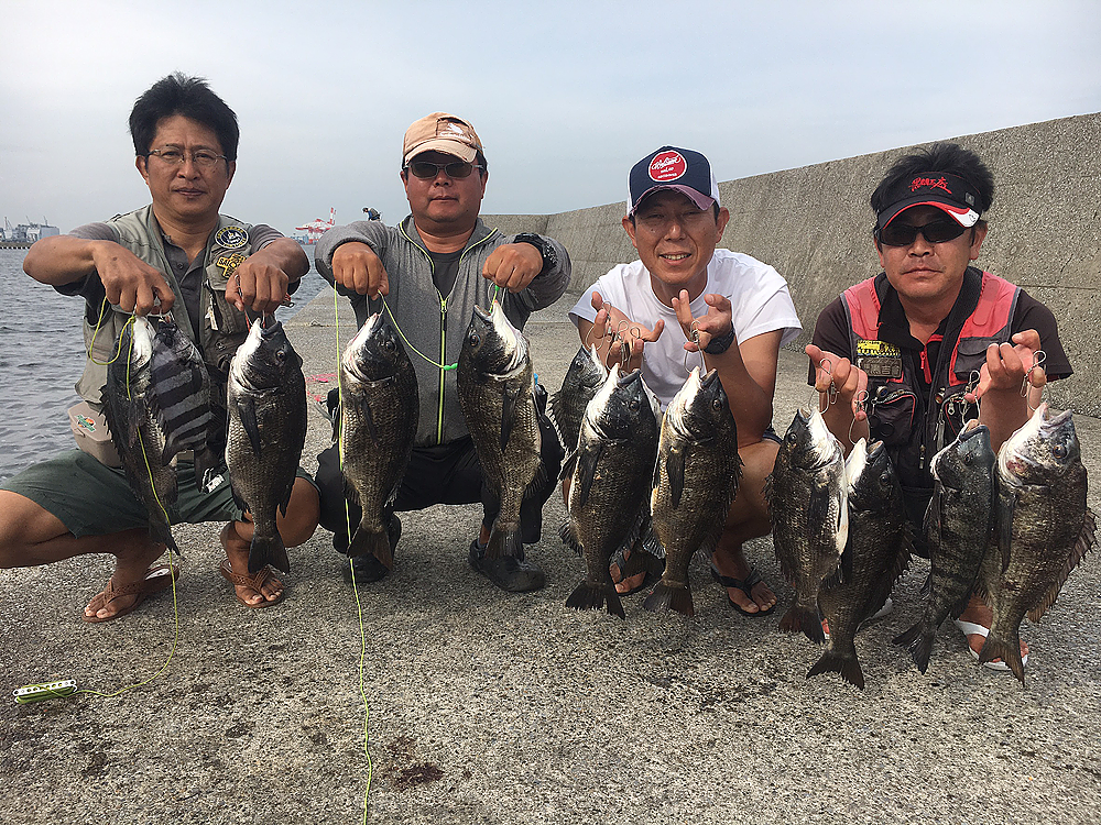 年に一度の平日鳥浜パイプ堤