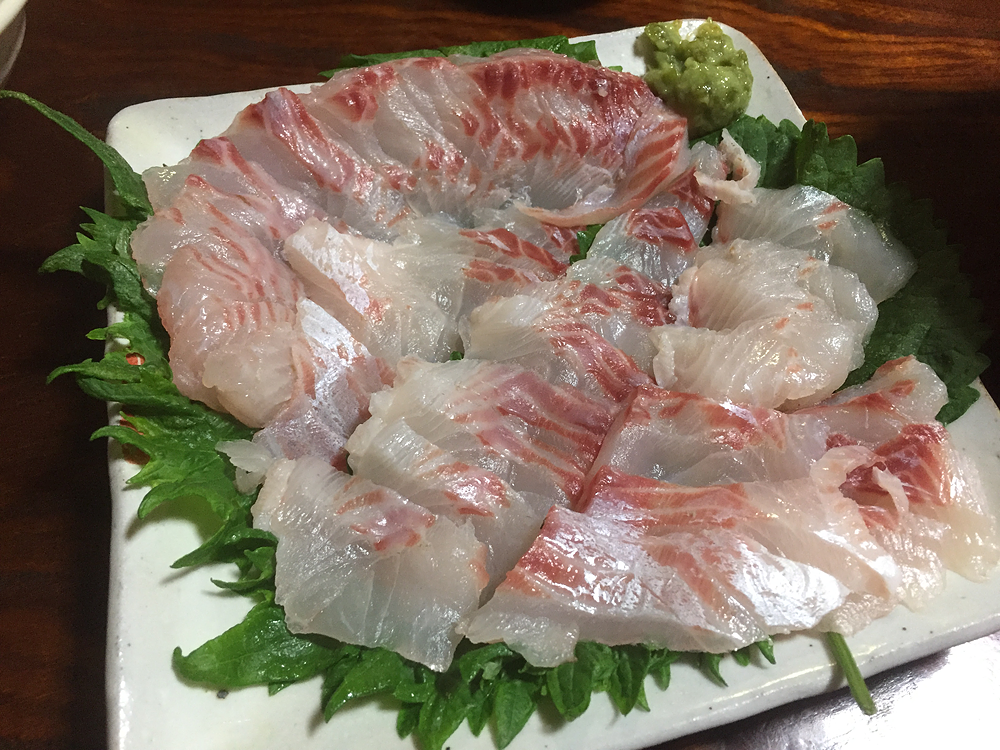 年に一度の平日鳥浜パイプ堤