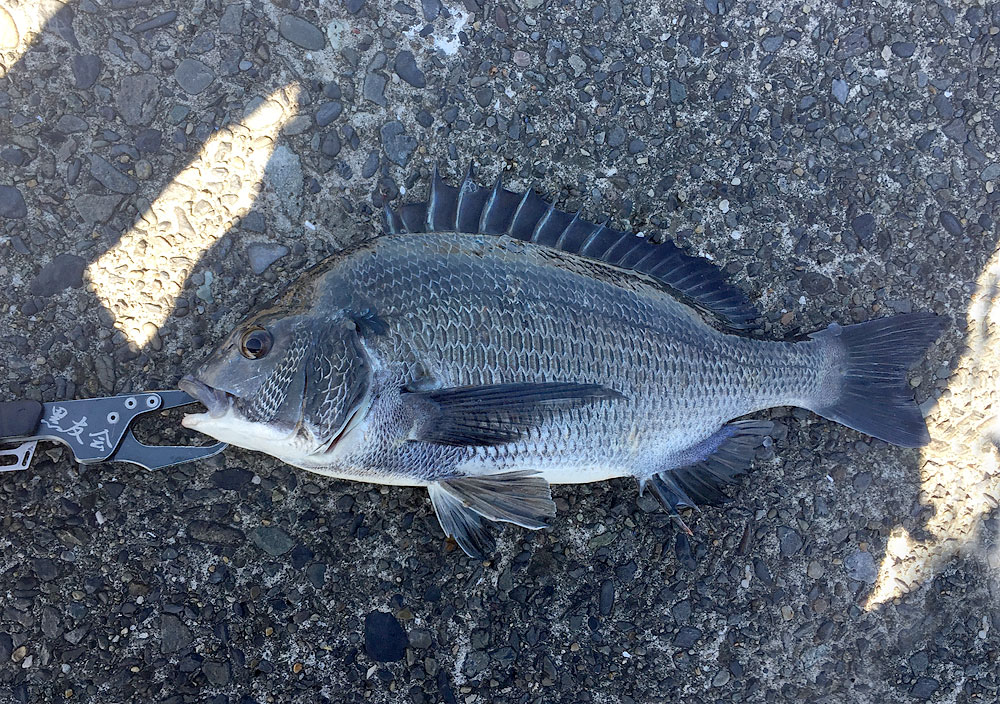 海の日三連休