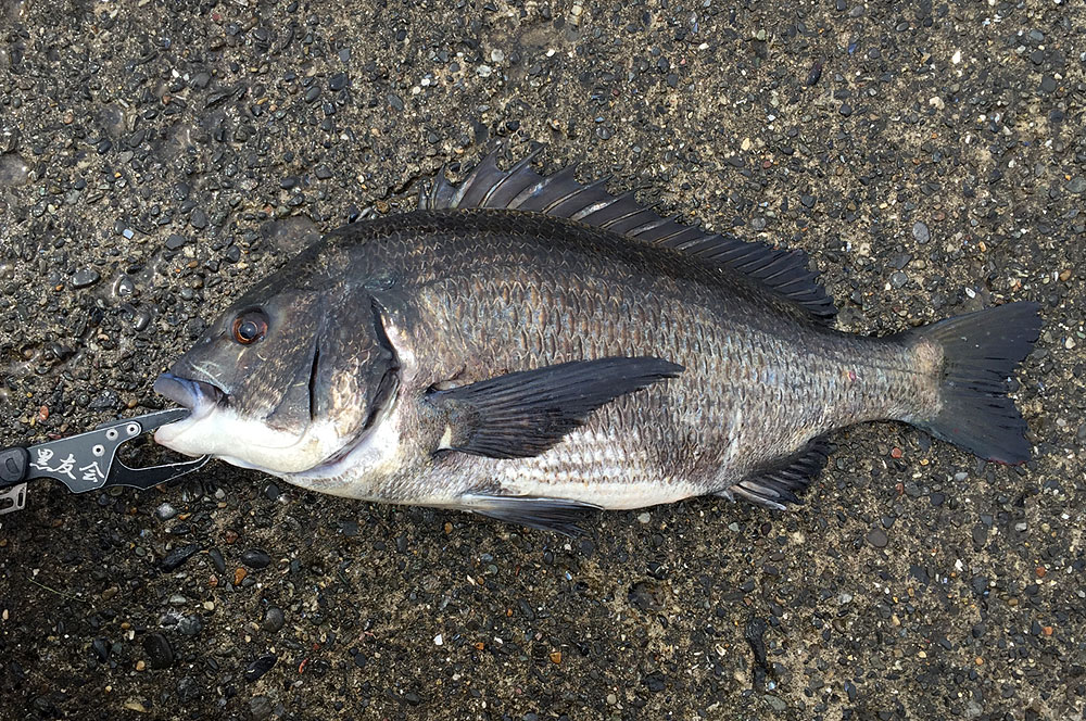 海の日三連休